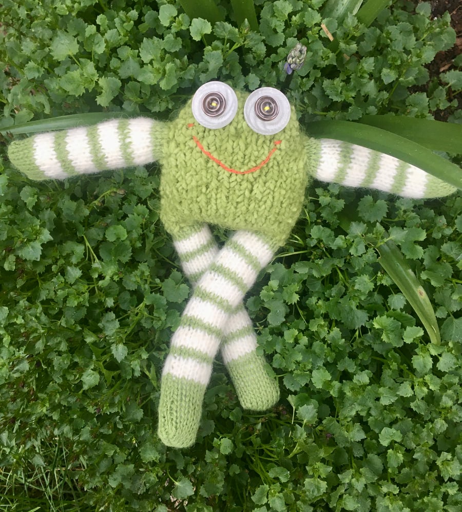 Frog had knitted doll