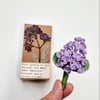 a little lilac brooch 