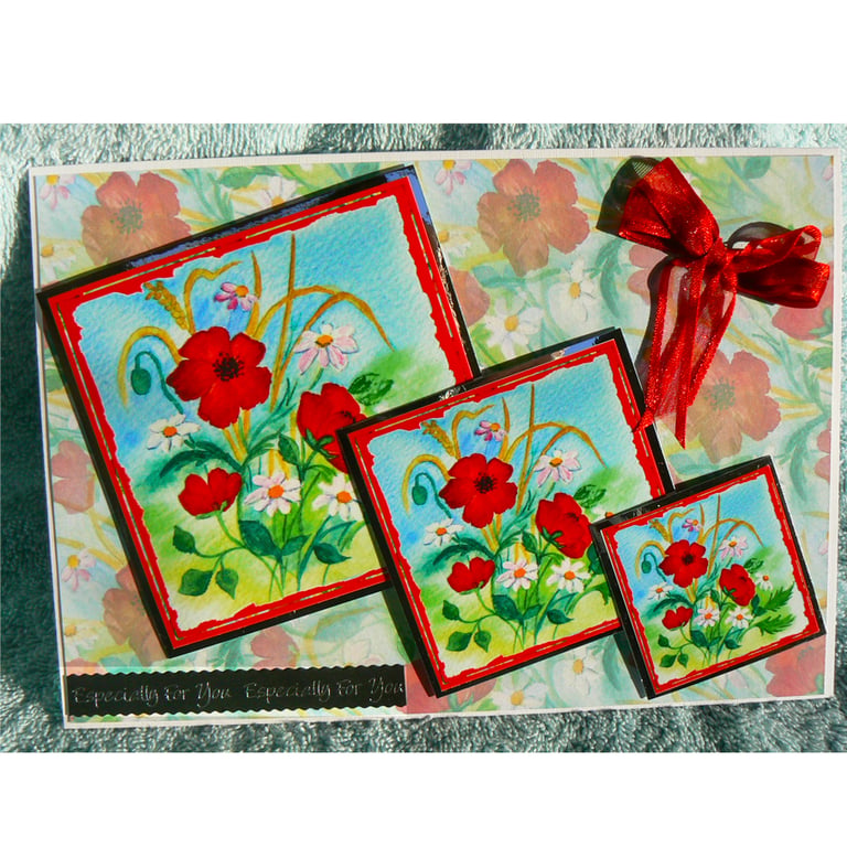 A Trio of Summer Poppies (EFY297)