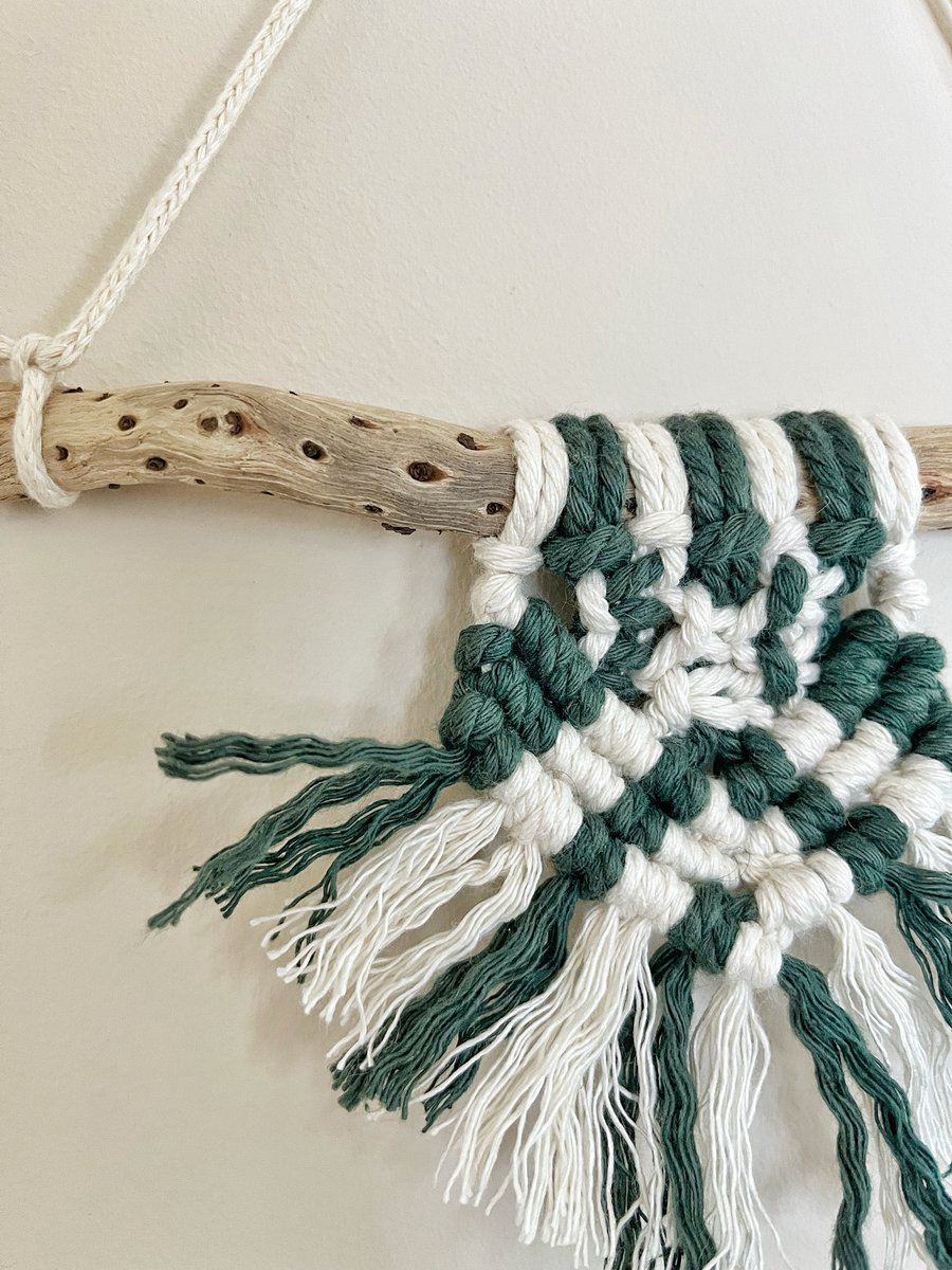 Mini Driftwood Macrame Wall Hanging