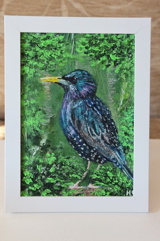 Starling Acrylic Painting