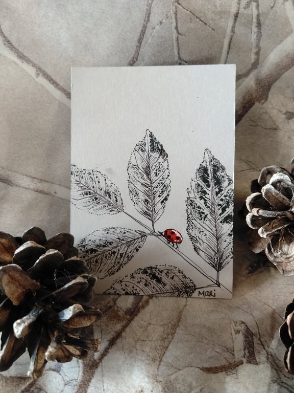 "Ladybird leaf" Original ACEO miniature pen and ink piece