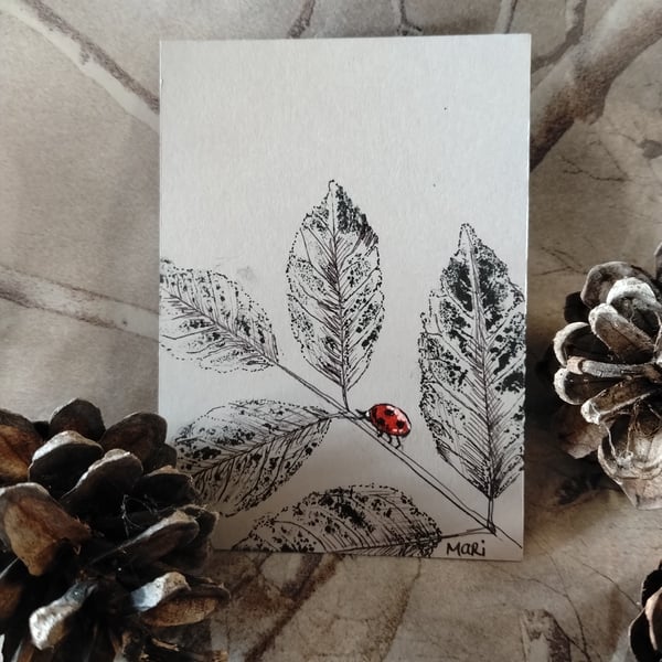 "Ladybird leaf" Original ACEO miniature pen and ink piece