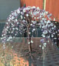 A Wire Willow Tree Sculpture