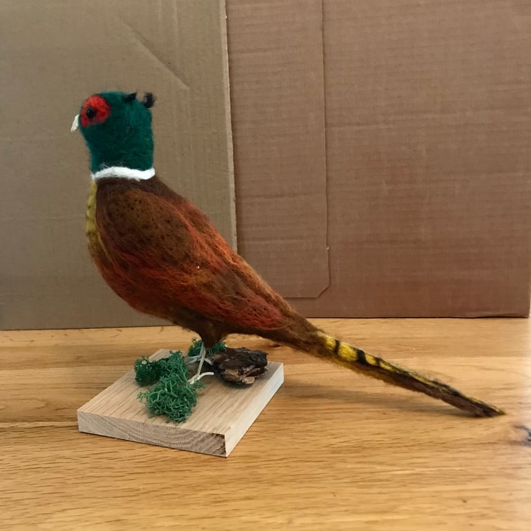 Pheasant-needle felted-bird-soft sculpture -game bird -countryside art