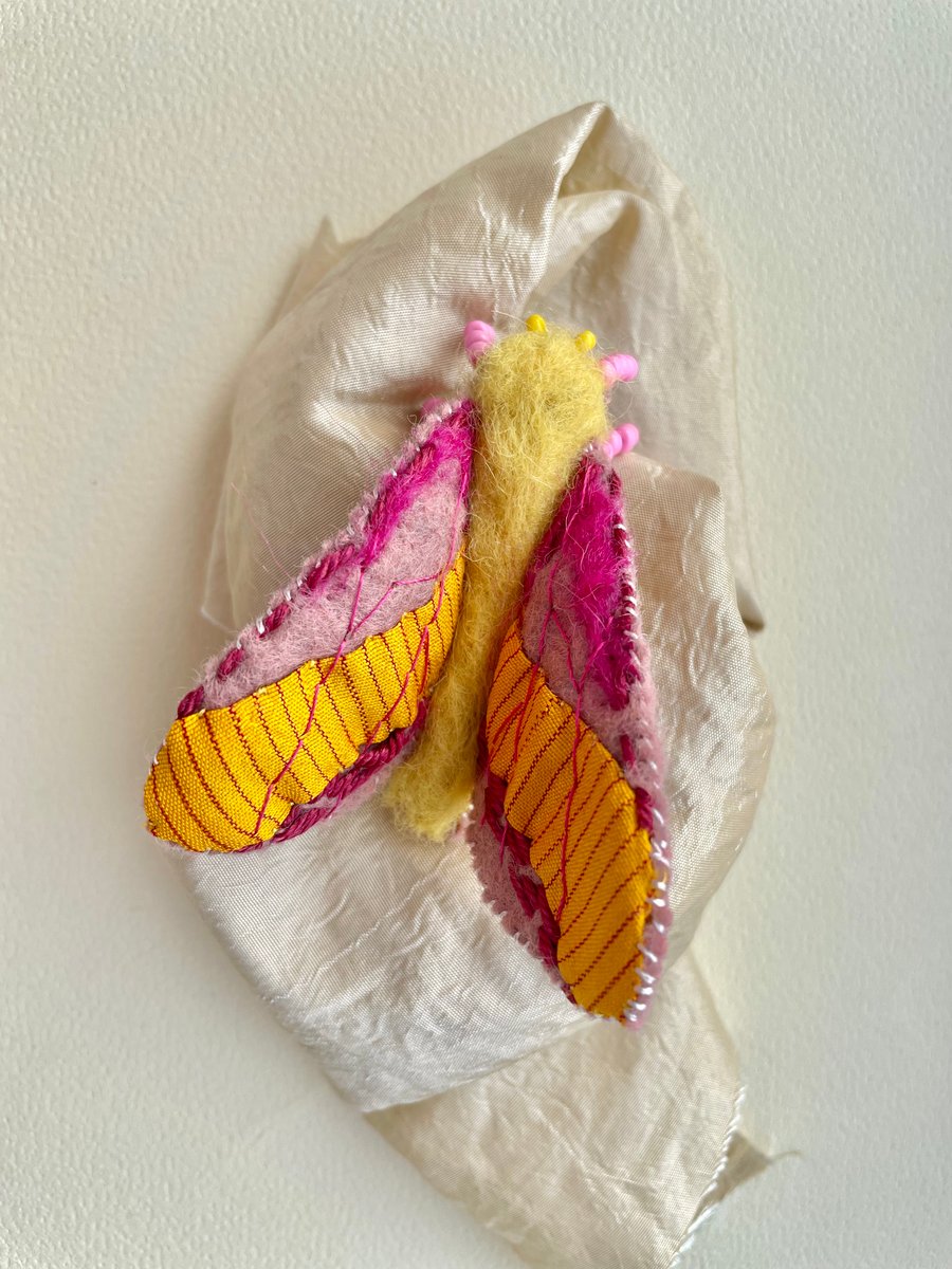 Rosy maple moth brooch, Felt ladies lapel pin, hand embroidered gift