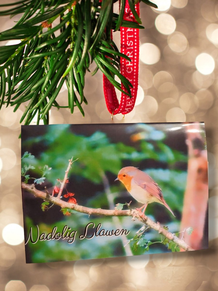 Welsh Christmas Card Nadolig Llawen,Picture of a robin handmade card,cymru 