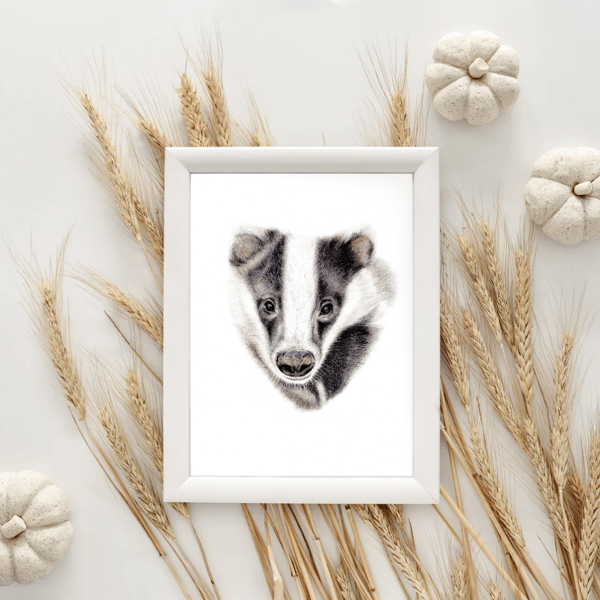 Unframed British Wildlife Badger Drawing 