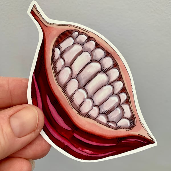 Stickers. Sacred cacao pod. Handmade. Vinyl. 