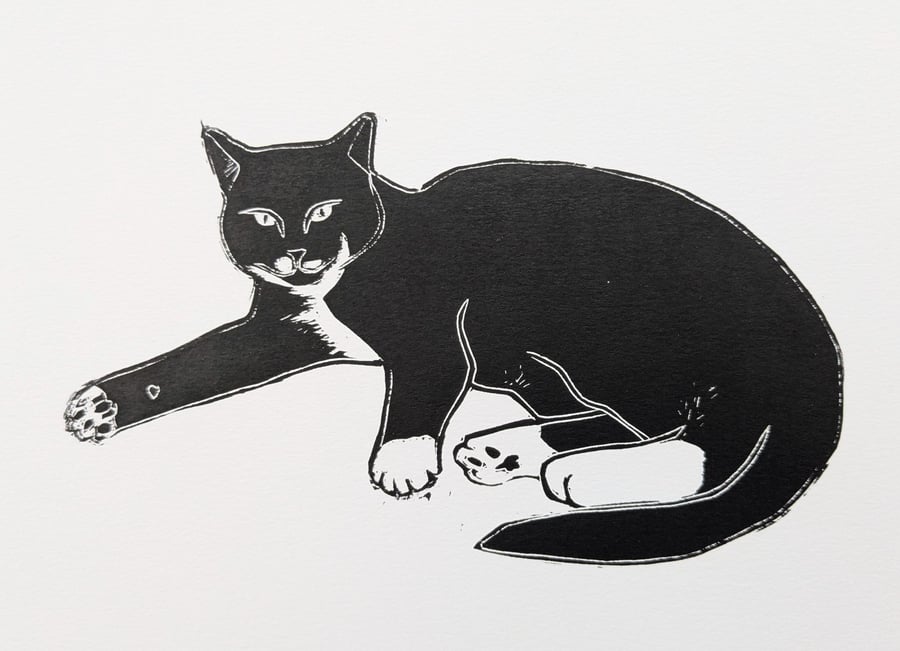 Reclining Cat
