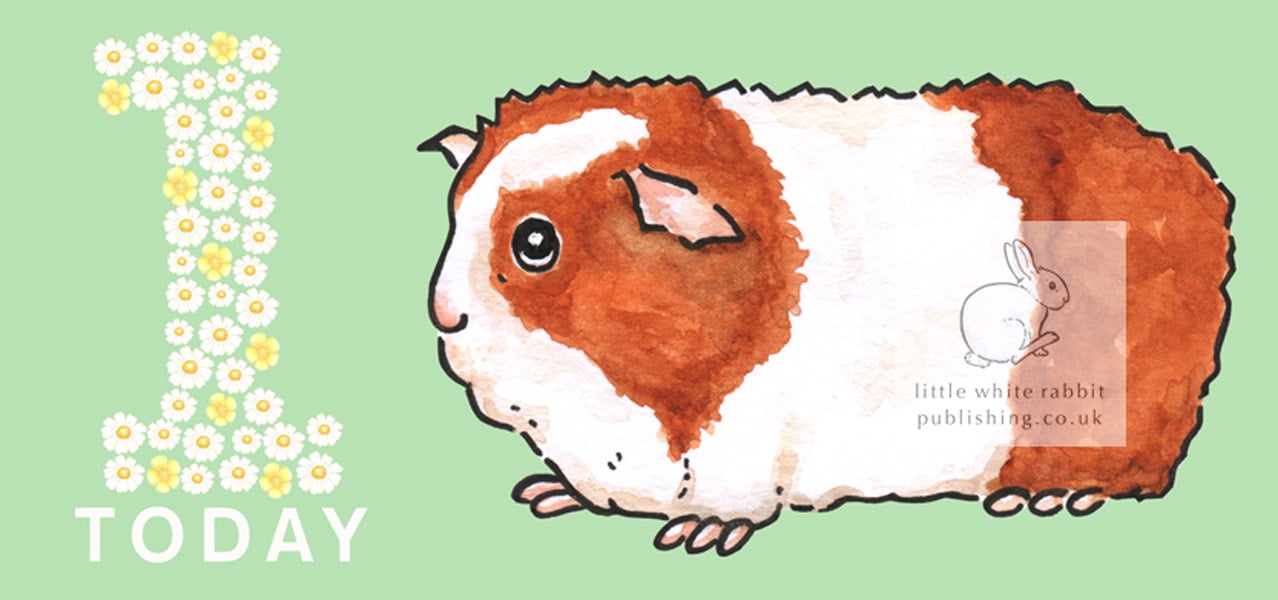 Gerry the Guinea Pig - 1 Today Card