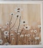 Greetings card - The White Collection - Oxeye Daisies