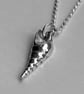 Silver shell pendant