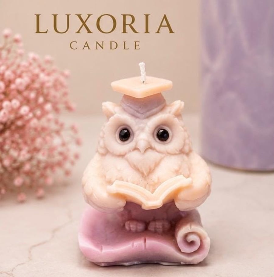 Graduation Owl Candle Handmade Owl Candle Teacher Appreciation Gift Graduation G