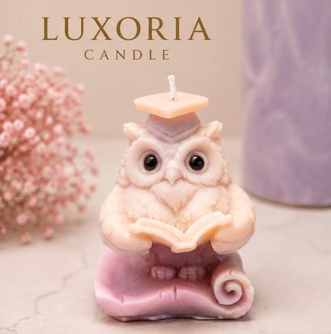 Graduation Owl Candle Handmade Owl Candle Teacher Appreciation Gift Graduation G