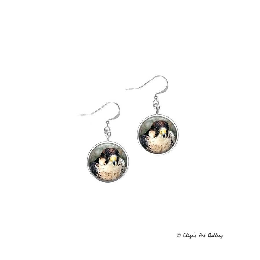 Silver Plated Peregrine Falcon Bird Photo Earrings