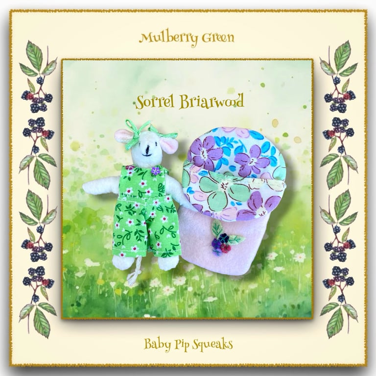 Sage Woodsorrel - A Baby Pip Squeak in a Sleeping Bag