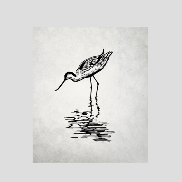 Mini Avocet Print