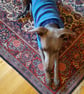 Hettie Whippet Hand Knitted Pink 'Croc' Tank - Image 4