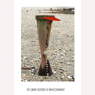 Hatman: A4 photo or A3 poster, unframed.