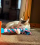 Matatabi cat kicker - Image 2