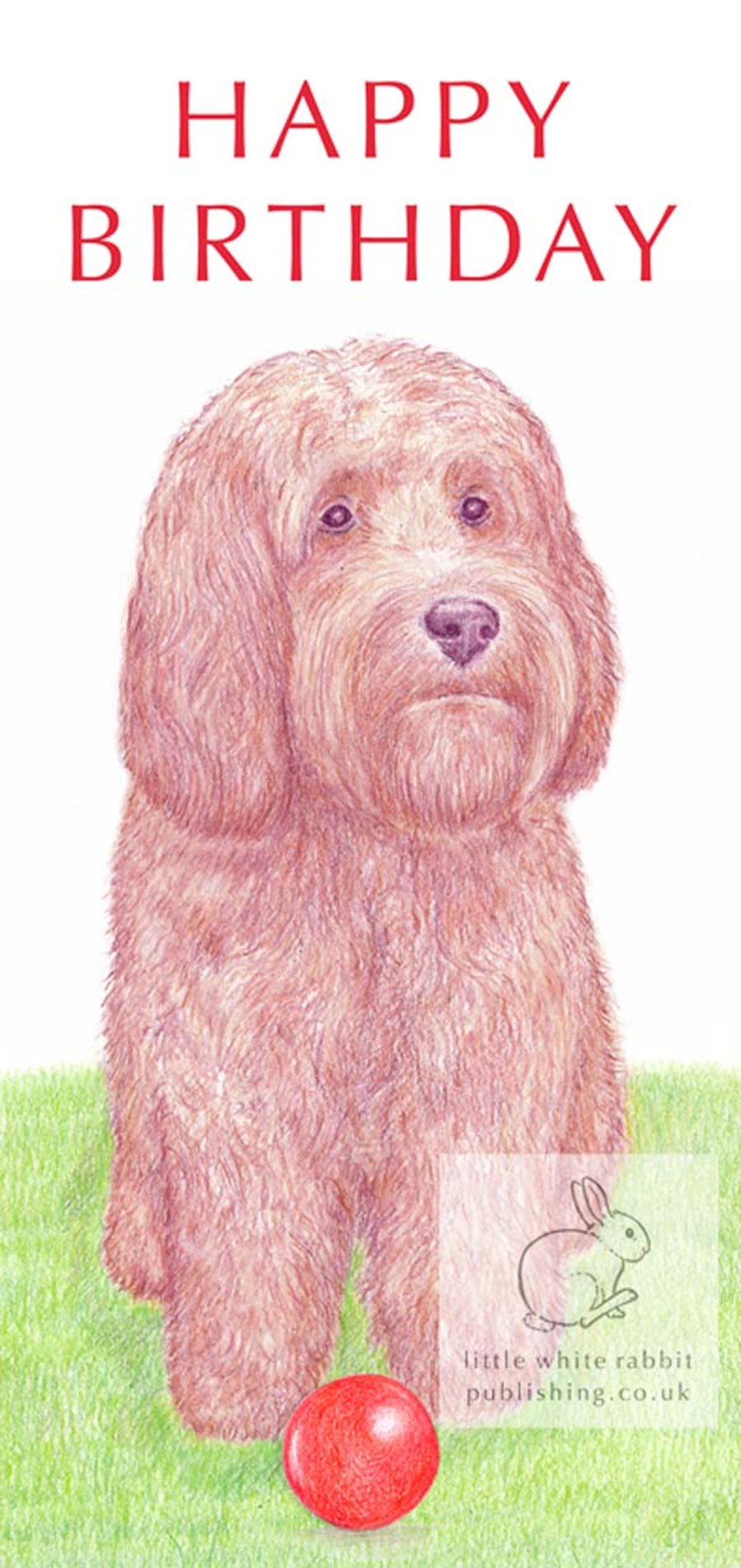 Giles with his ball - Birthday Card