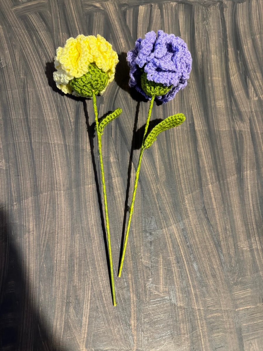 Crochet carnations