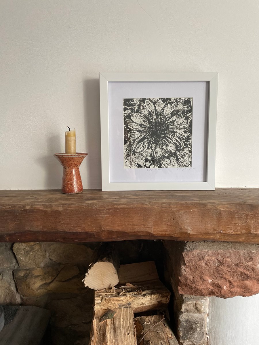 India Ink Drawing of Echinacea Framed