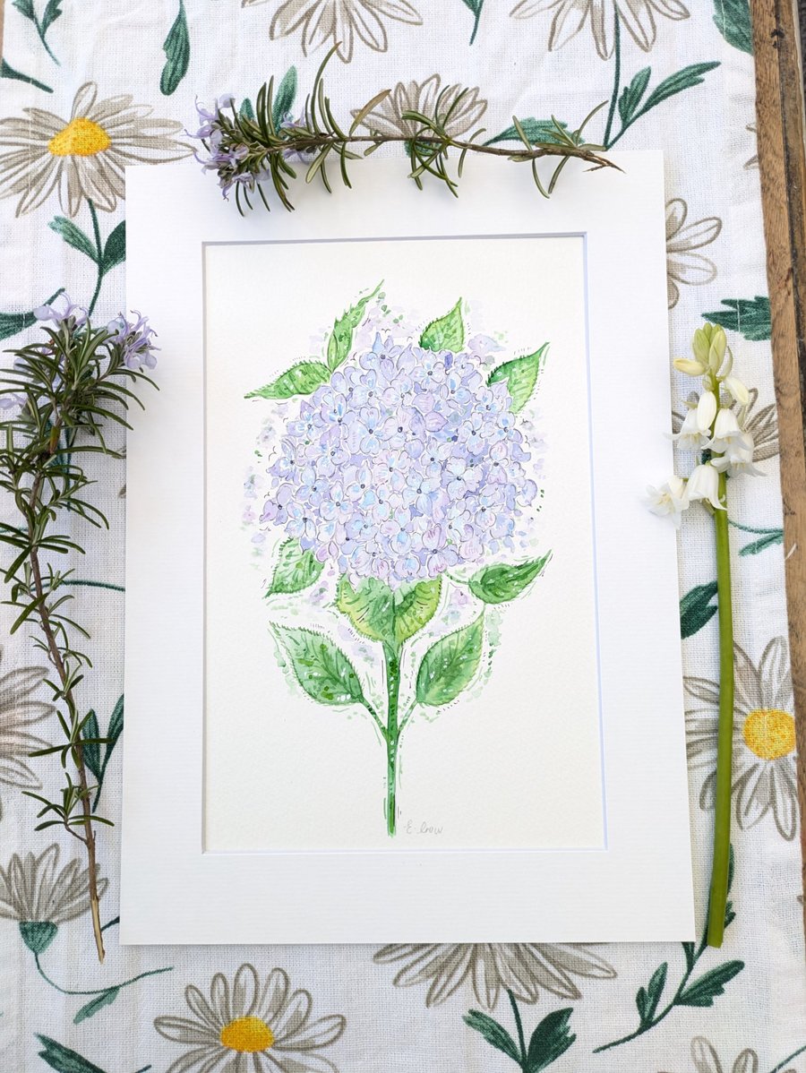 Hydrangea hand-painted original watercolour flower painting ( not a print) 