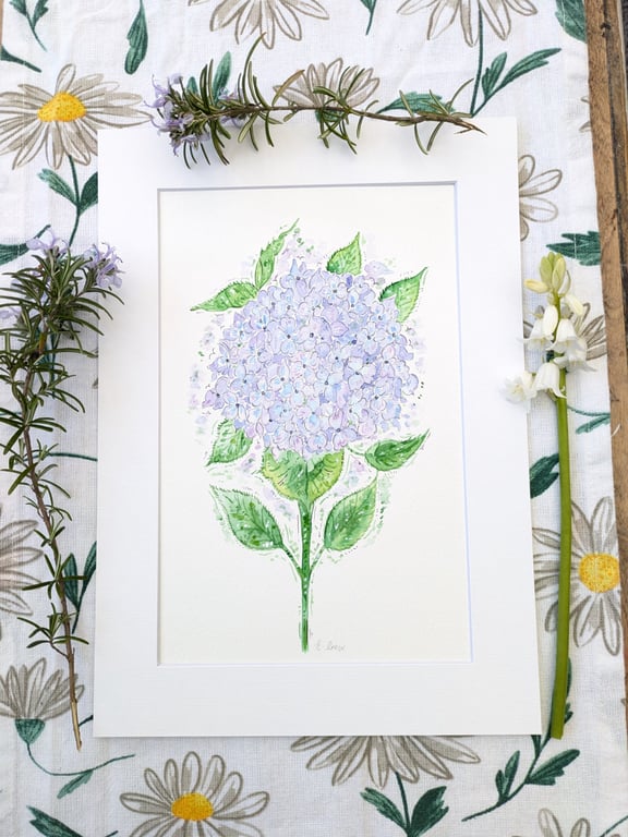 Hydrangea hand-painted original watercolour flower painting ( not a print) 