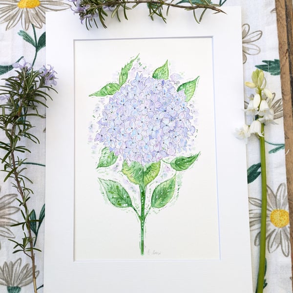 Hydrangea hand-painted original watercolour flower painting ( not a print) 
