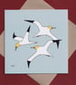 Coastal bird greetings cards - pack of 4 - Image 4