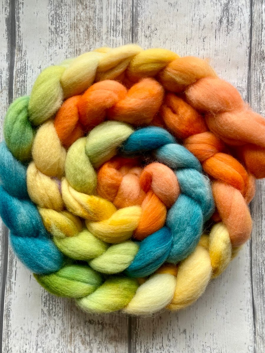 Cormo spinning fibre 100g Summers fade