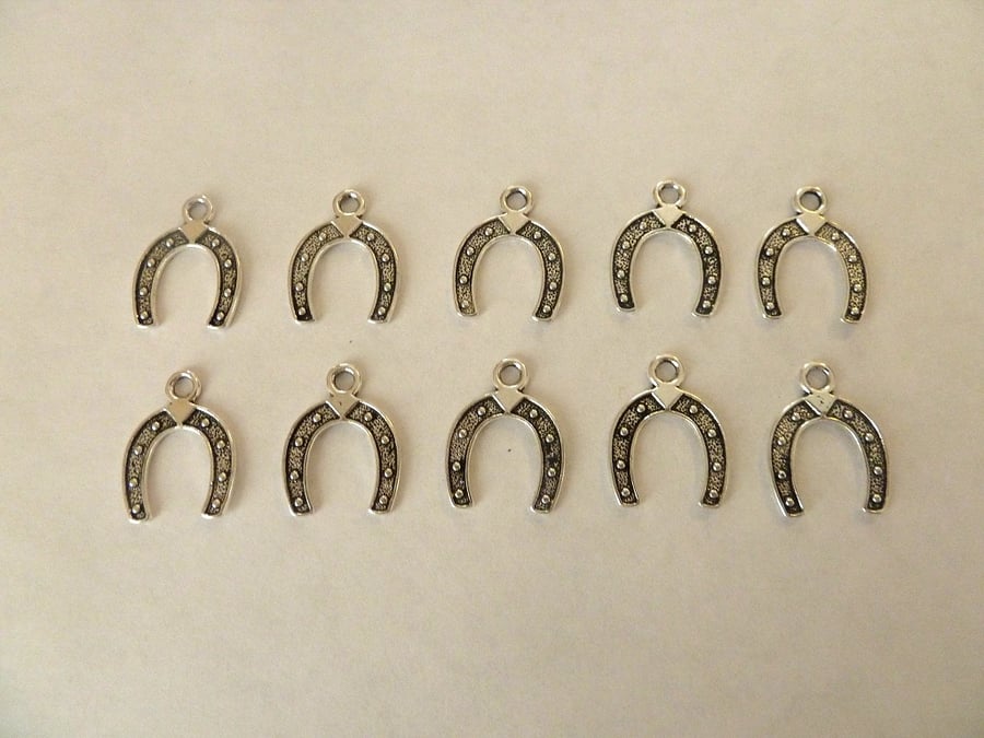  10 horse shoe charms