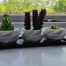 Trio of Eco-Friendly 3D Printed Plant Pots with Tray and Artificial Flowers