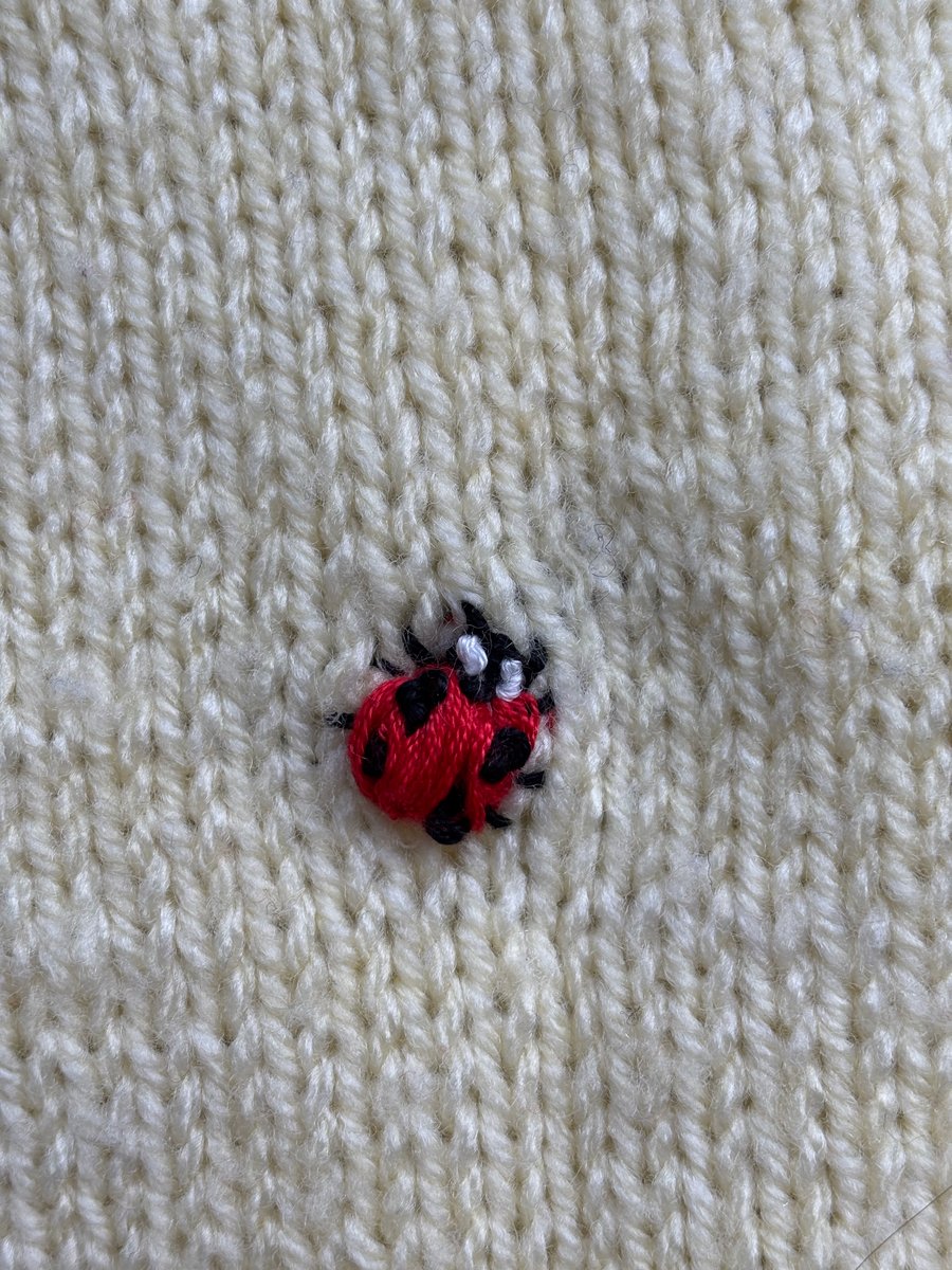 Little Ladybirds Jumper 12-18mo