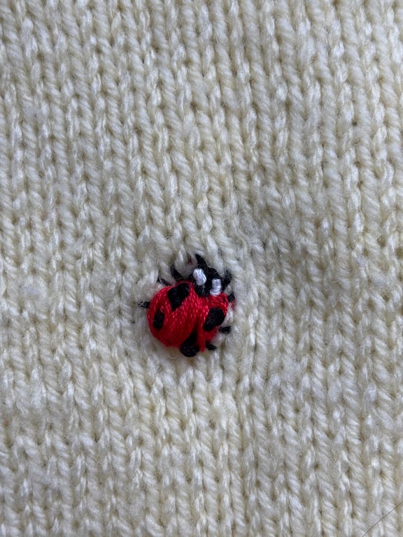 Little Ladybirds Jumper 12-18mo