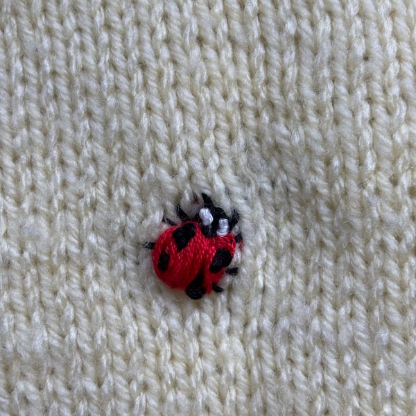 Little Ladybirds Jumper 12-18mo