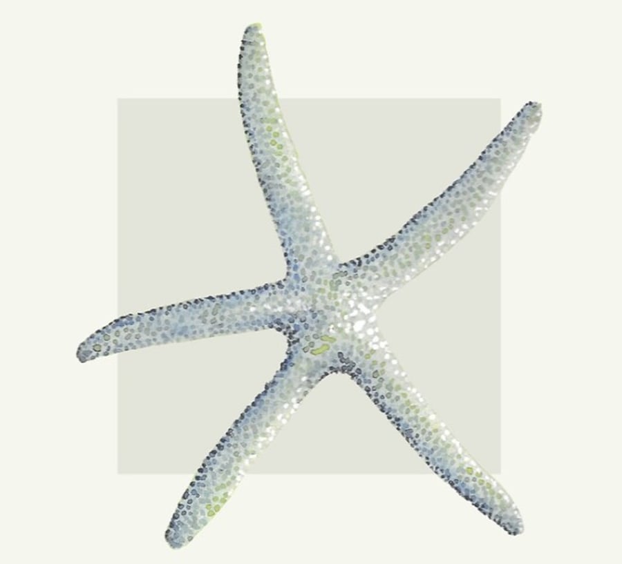 Starfish design coaster cream and neutral tones beach house coastal collection