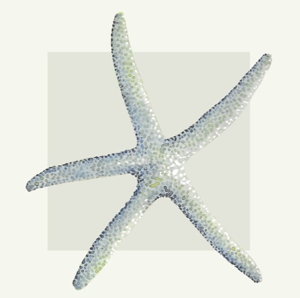 Starfish design coaster cream and neutral tones beach house coastal collection