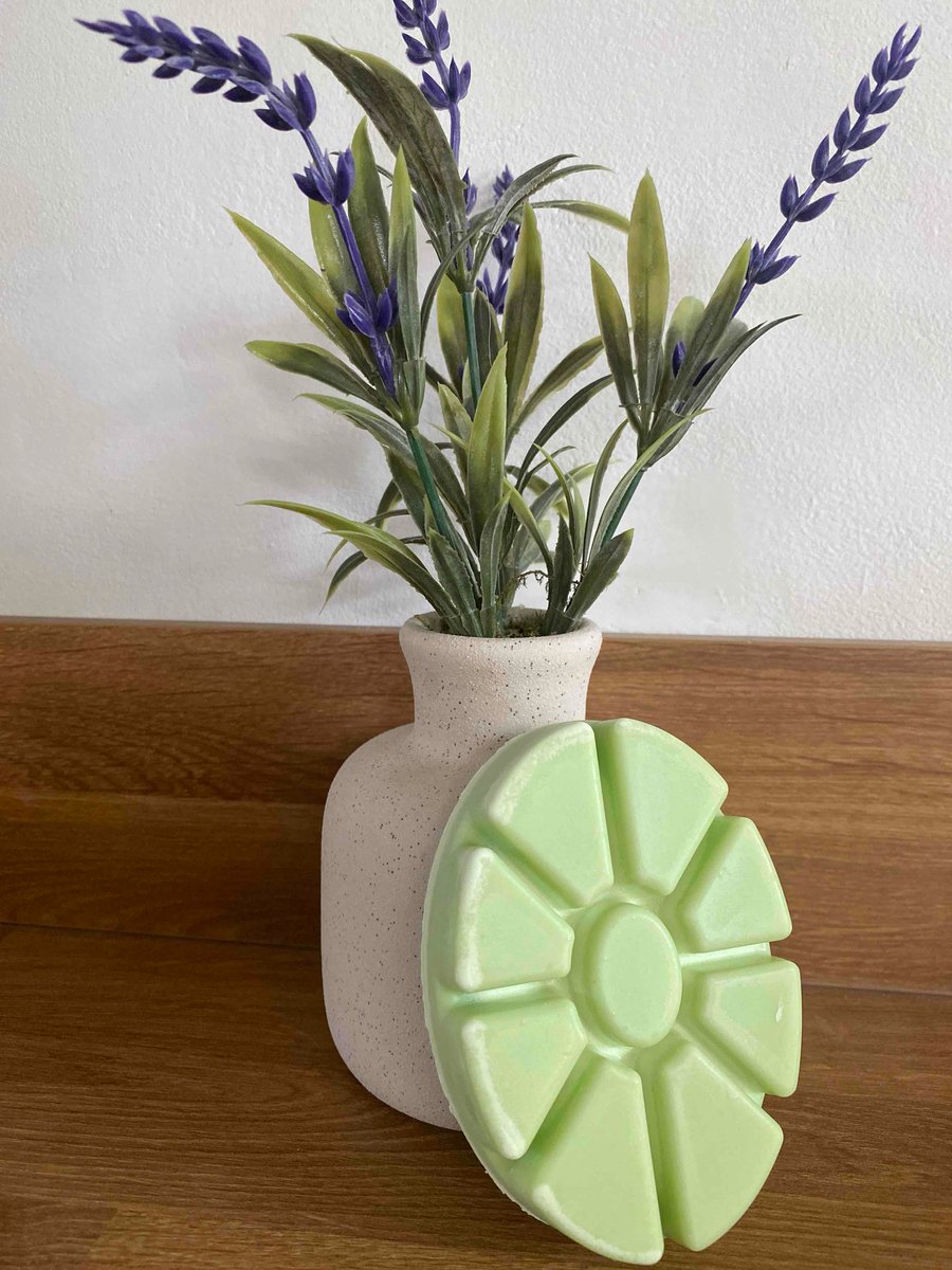 Summer Mint Medley 9 cell clam shell wax melt