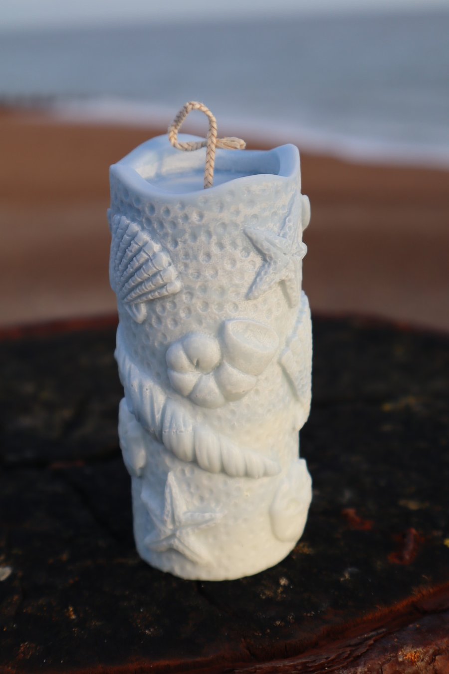 Cylinder Sea Shells Candle