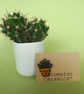 Small ceramic succulent pin badge - Image 4