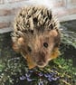 Hedgehog needle felted animal  - Image 4