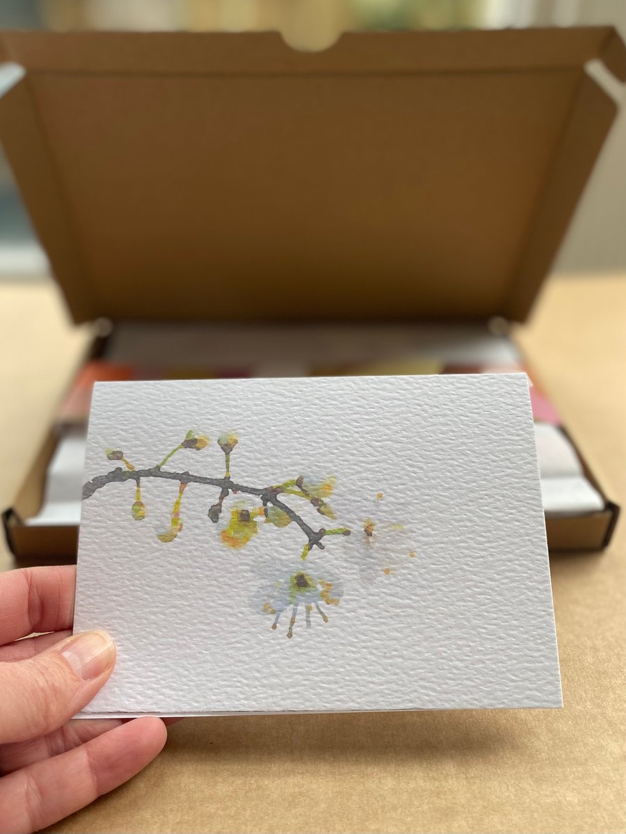 BLOSSOM WHITE PLUM blank garden card one (1)
