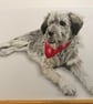 A3 Custom Dog Portrait made with Coloured Pencil - Image 5