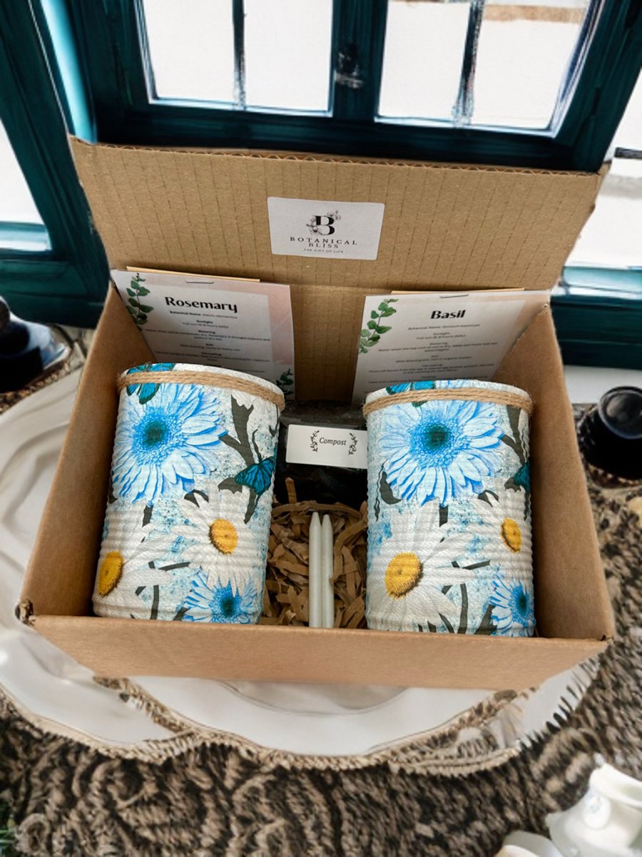 Grow your own herbs gift set indoor house planters large African daisy planters