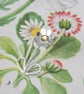 Sterling silver daisy brooch, wedding anniversary gift, silver flower brooch - Image 3