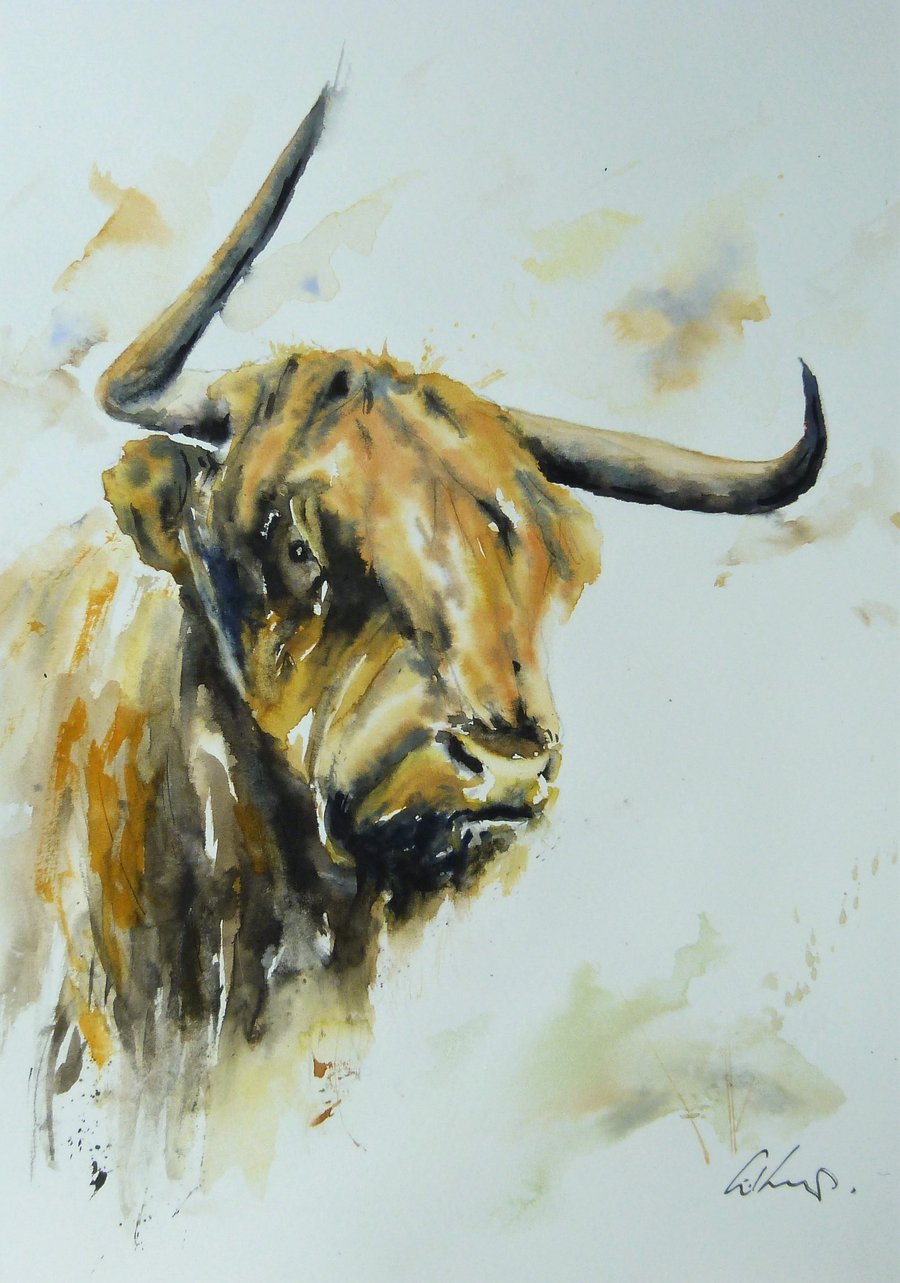 Highland Cow, Original Watercolour Painting.