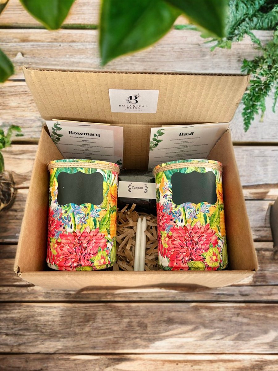 Grow your own herbs gift set indoor house planters tropical plant 